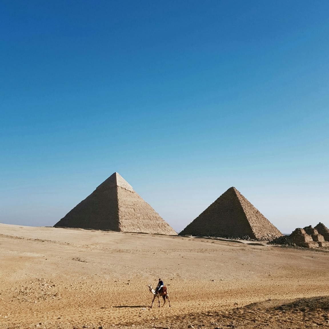 The great pyramids of Egypt with a camel and rider walking in the foreground