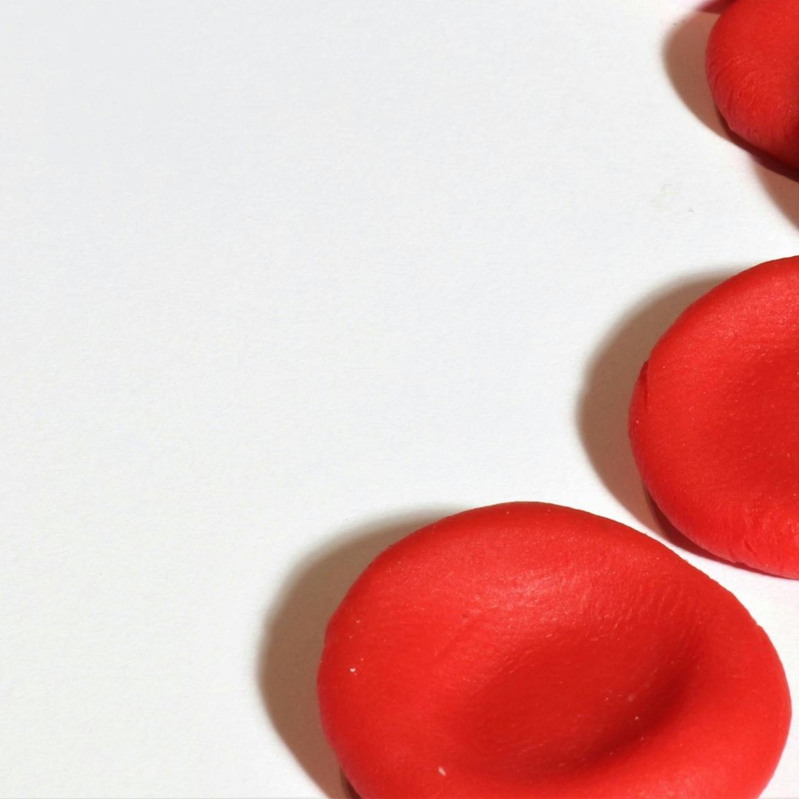 Photo of a pile of red blood cells made out of clay or similar material.