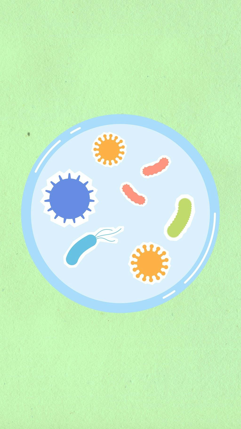 Paper cutouts of bacteria and viruses float in a petri dish.