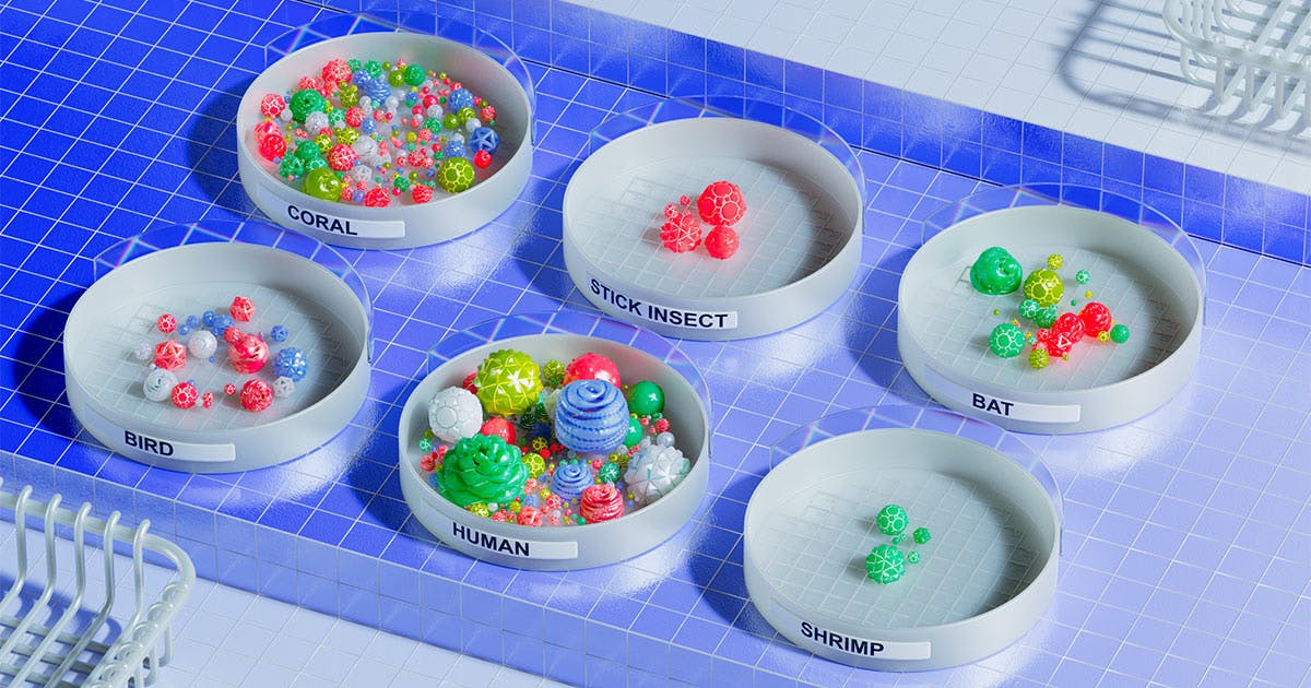 A 3D render of six petri dishes labeled "coral," "bird," "stick insect," "human," "bat," and "shrimp." The stick insect and the shrimp have nearly empty dishes, while the coral and human dishes overflow with various microbes.